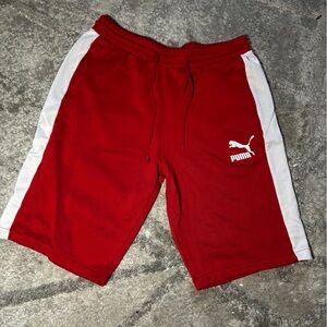 Men’s puma shorts size large